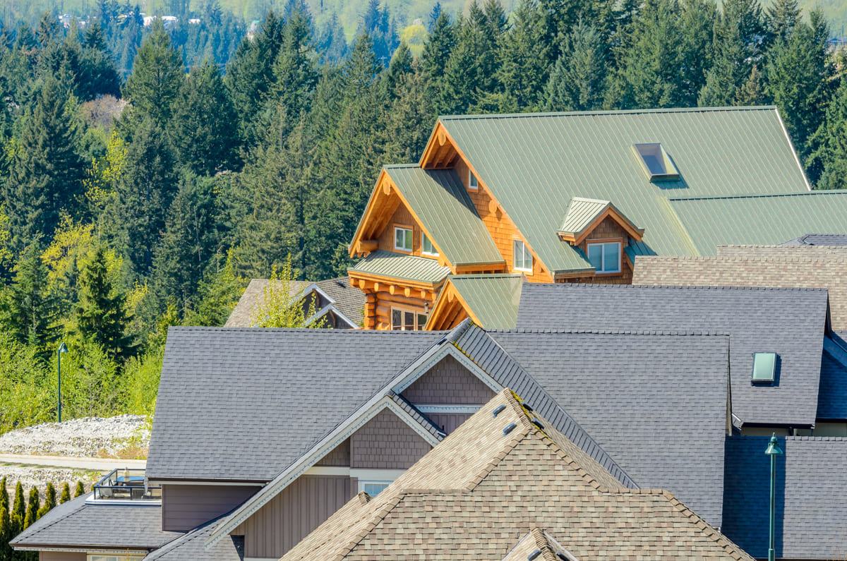 Neighborhood homes with gray roofs among trees