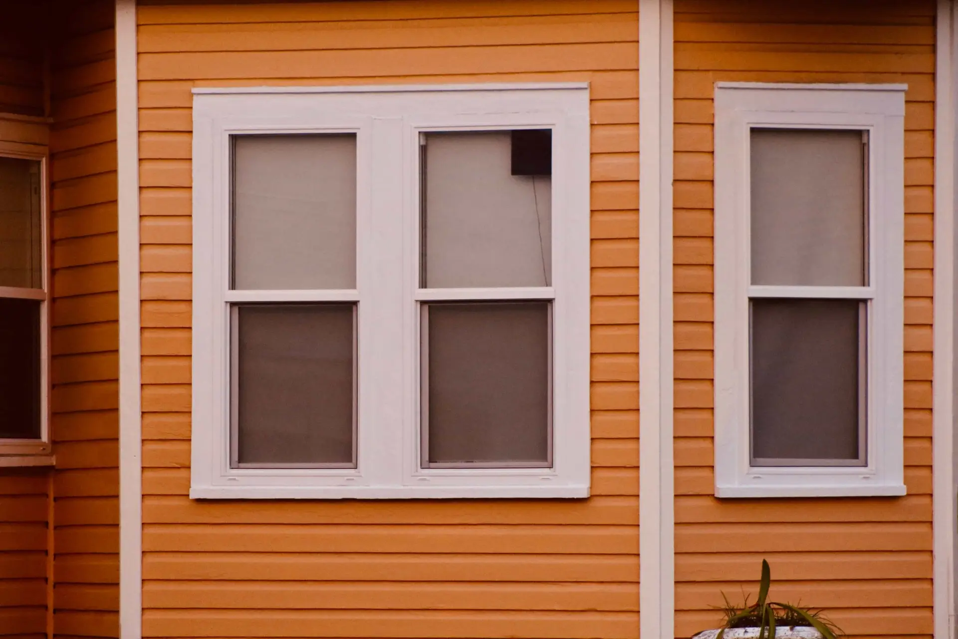 Orange lap siding with white-framed windows