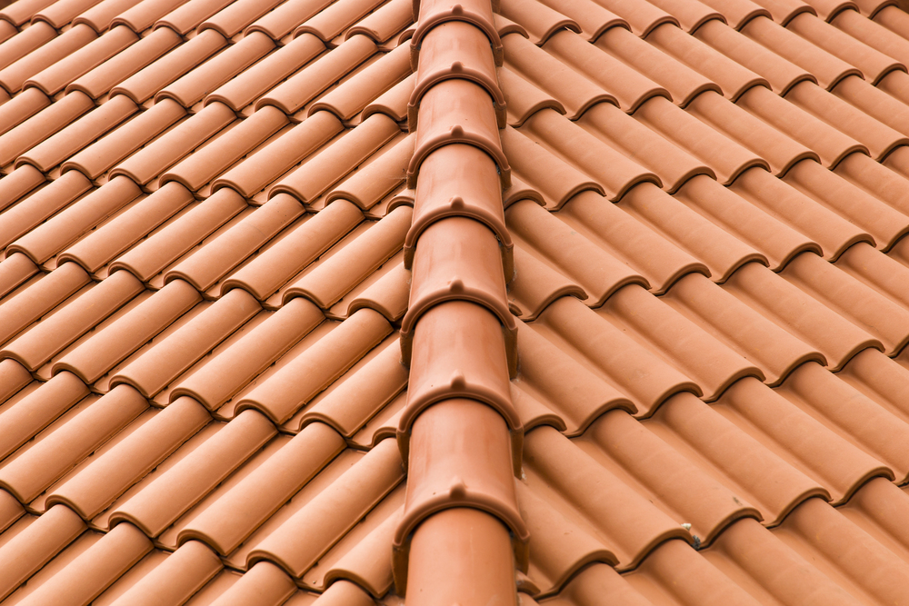 Close-up of terracotta roof tiles
